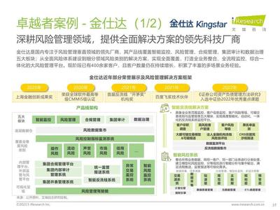 2023年中国资本市场风险管理IT服务市场研究报告 风险管理咨询服务篇